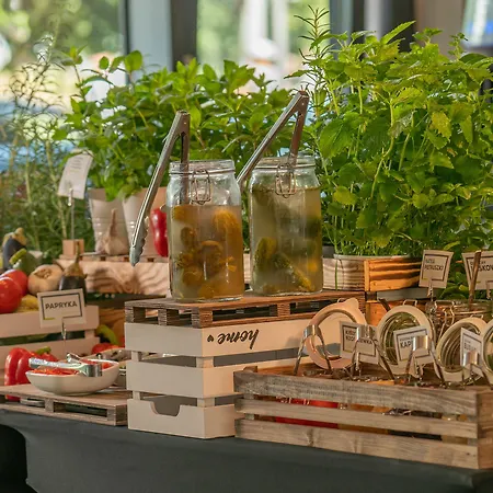 호텔 Q 플러스 4*