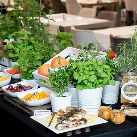 Q 플러스 호텔 4*